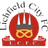Lichfield City club crest
