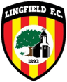 Lingfield club crest