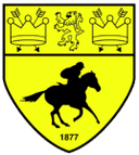 Newmarket Town club crest