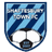 Shaftesbury Town club crest