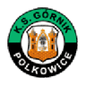 Górnik Polkowice club crest