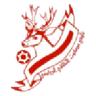 Masfut club crest