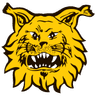 Ilves II club crest