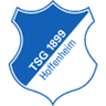 Hoffenheim II club crest