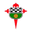 Racing Ferrol club crest