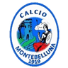 Montebelluna club crest