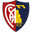 Montevarchi Calcio club crest