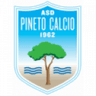 Pineto club crest