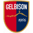 Gelbison club crest