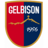 Gelbison club crest