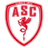 Cannes club crest