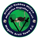 Negelle Arsi club crest